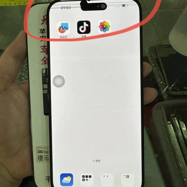 iPhone 14 Pro Max Display