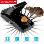 Mouse Killer Trap (5Ã—3Ã—3 inches)