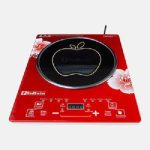 RedSwiss Induction Cooker 2200 Watt RSIN 003 (Inverter technology power saving)