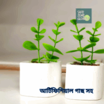 Two ( 2 ) Mini Cement plant pot with artificial