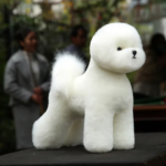 Model dog for grooming Practice Bichon mannequin set 1 pcs Bichon dummy with 1 pcs bichon body wig (New)
