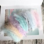 Natural Plumes 4-6 Inches 10-15cm Turkey Marabou Feather Plume Fluffy Wedding Dress DIY Jewelry Decor Accessories Feathers (New)