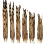 10Pcs/Lot Natural Pheasant Tail Feathers for Crafts Carnival Accessories Wedding Party Holiday Decoration Long Plumes Headdress (New)