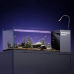 Glass Fish Tank Side Filter Oxygenate Desktop Aquarium with Light Household Living Room Ecological Fishbowl Ornamental Fish Bowl (New)