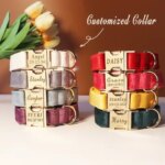 Personalized Dog Collar Bow Set Customized ID Name Tel Engraving Name for Small Medium Large Dogs Adjustable Dog Leash (New)