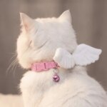 Sweet Adjustable Plush Wings Cat Collar Solid Color Lightweight Pet Collar Not Tight Nor Loose Soft Pet Dressing Pet Beauty (New)