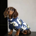 Blue Soft Fleece Sweater for Sausage Dogs Sweet Cartoon Jumpsuit for Small Mid Dachshund Dogs Winter Warm Coat for Wiener Dogs (New)