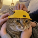3D Printing Pet Safety Helmet Sun Protection Plastic Cat Protective Hat Waterproof Ear Exposed Dog Sunscreen Hat Safety Gear (New)