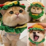Cat Headgear Dog Pet Burger Hat Cute Cross Dressing Hat Photo Prop Dogs Accessoires Puppy Accessories (New)
