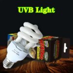 Reptile UVB 5.0/10.0 Lamp Bulb Desert Terrarium Lamp Turtle Lizard Snake Heat Calcium Bulb Energy Saving Screw Thread Light (New)