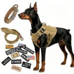 Large Dogs Tactical Harness Military Service Dogs Vest Collar and Leash Set Velcro Patches Molle Vest with Handle for Training (New)