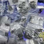 Full Interior Screws Set Replacement iPhone 14 15 16 Pro Plus Pro Max Motherboard Iron Sheet Screws Bottom Pentalobe Screw (New)
