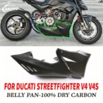 For DUCATI Streetfighter V4 V4S Carbon Fiber Belly Pan Modified Motorcycle Accessories Real Dry Carbon (New)