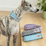 Soft Adjustable Collar 3.8cm Width for Mid Large Dogs Ethnic Blue Purple Black Explosion-proof Firm Collar for Italian Greyhound (New)