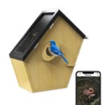 STLFNew Design AI Recognition Solar Panel with Long Life Battery CamerassOutdoor Smart Bird Feeder Bird House with Cameras (New)