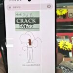 AMOLED With Defect For Google Pixel 8 LCD Display Touch Screen Digitizer Assembly For Google Pixel8 LCD GKWS6 G9BQD Display (New)