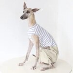 Fashion Clothing for Sighthounds Dogs One-piece Spring Cotton Jumpsuit T-shirt Pant for Italian Greyhound Whippet Stripe Costume (New)