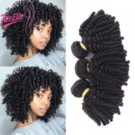 Afro Kinky Curly Spring Roll Wig Bouncy Curved Hair Bundle/1pcfor Women Natural Color Human Hair Extension Brazilian Virgin Remy (New)