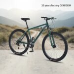 Factory Cheap Price Bike Bicycle 29inch 21 Speed Disc Brake Mountain Mtb Bicycle Short Stem Bicicleta De Montana Adult Cycle (New)