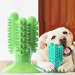 Durable Bite Resistant Dog Toothbrush Molar Stick Treat Dispensing Teeth Cleaning Chew Toy Oral Care Boredom Relief Pet Play (New)