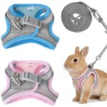 Bunny Harness Leash Set Escape-Proof Soft Vest for Rabbit Kitten Puppy Guinea Pig Pink and Blue（2PCS） (New)