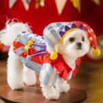 Dog Clown Clothes Pullover Winter Dog Pajamas Basic Winter Apparel (New)