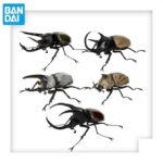 Bandai Gp Ikimono Encyclopedia Beetle 10 Rhinoceros Beetle Hercules Beetle Display Figure Model Gift for Collection Hobbyists (New)