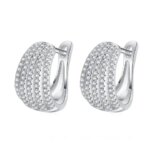 NeeTim Full Moissanite Hoop Earrings For Women 925 Silver with White Gold Plated Luxury Huggie Earrings Wedding Womens Earrings (New)