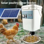 Solar poultry automatic timing feeder chicken duck goose pigeon trough fish pond feeder (New)