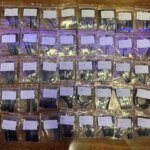 10-100Pcs Lot New Original BCM5976 U2401 BCM5976C1KUB6G Touch IC iPhone 6 6Plus iPad 6 Air2 Mini4 White Driver Touch Chip (New)