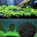 1 Pack Aquarium Decoration Water Grass Easy Plant Quickly Landscaping Fish Tank Ornament Background for Aquarium Accessories (New)