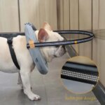 Adjustable Blind Dog Collar Pet Safety Harness Reflective Guiding Device Collar Anti Collision for Blind Dog and Cats Protection (New)
