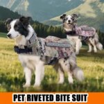 Pet Anti-bite Clothing with Gaskets and Four Rows of Nails Outdoor Sports Anti-bite Clothing Dog Supplies (New)