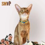 Original Design Court Style Gemstone Pearl Decoration Vintage Ancient Egyptian King Pet Kitten Puppy Collar Necklace (New)