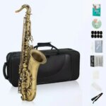 P.Mauriat PMXT-76 Tenor Saxophone in Bb Vintage Finish Original (Made in Taiwan) (New)