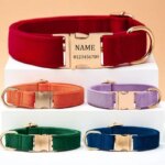 Pet Dog Collar New Velvet Lettering Metal Clasp Collar Adjustable Dog Cat Neck Chain Corgi Chai Dog Pet Accessories (New)
