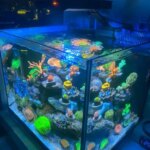 Spectra Aqua Knight V3 Full Spectrum Programmable Sunrise Sunset 75W Saltwater Fish Tank LED Coral Reef Aquarium Light (New)