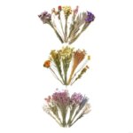 Handcrafted Hamster Cage Decors Dried Flower Bedding Promotes Natural Foraging Behavior (New)