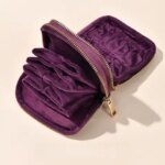 Double Layer Jewelry Pouch for Travel Soft Velvet Small Jewelry Organizer with Separate Compartments Portable Jewelry Case (New)