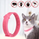 Pet Dog Cat Collar Anti Flea Mite Lice Insecticide Mosquito Outdoor Adjustable Pet Collar Cat Accessories Long-term Protection (New)