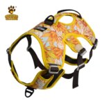 Pet Dog Harness Dog Items Outdoor Walking Training Vest For Dogs Accessories Breathable Reflective Pet Harness Vest Pet Supplies (New)