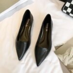 Simple Solid Coloured Womens Flats Classic Fashionable Style Pointed Toe Suitable for Business Office Comfortable To Wear (New)