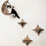 Moon & Star Cat Wall Shelves Cat Hammock with Cutouts Wooden Cat Furniture Cat Climbing System Floating Perch for Indoor Cats (New)