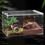 Reptile Feeding Cage Horned Frog Lizard Scorpion Acrylic Terrarium Highly Transparent Amphibian Box Crawling Pets Ecological Box (New)