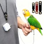Bird Leash Retractable Anti Bite Parrot Harness 3 Different Sizes of Foot Ring Parrot Flying Rope for Birds Outdoor Training (New)