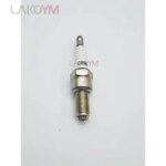 CR9EK spark plugs (thread 100 190mm) are suitable Beta Kawasaki SuzukiTriumph Daytona 600 Tiger900 Yamaha FZS1000 YZF-R1 (New)