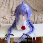Anime Roxy Migurdia Cosplay Wig Blue Double Braid Long Heat Resistant Synthetic Fiber Wig with Rose Net Anime Coser Party Wig (New)