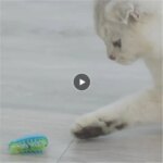 Electric Bug Cat Toy Cat Escaping Obstacles Automatically Turn Over Electric Cat Pet Toy Insects Interactive Toys Colour Random (New)