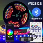 WS2812B LED Strip RGB IC Smart USB Bluetooth Music (New)