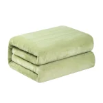 Electric Blanket 110220V Heater Smart Control Heated Blanket Winter (New)